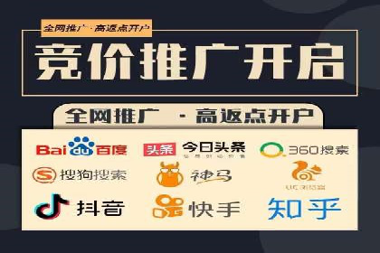 SEM服务公司成功案例解读